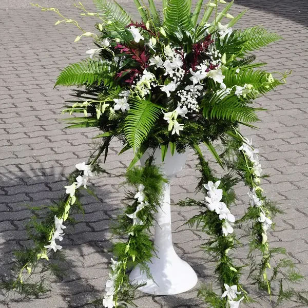 Pająk Na Trumnę (2)