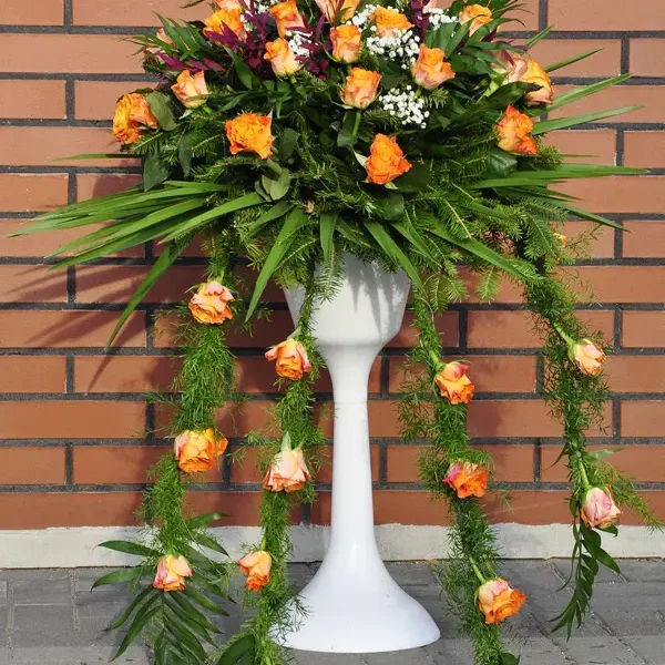 Pająk Na Trumnę (3)