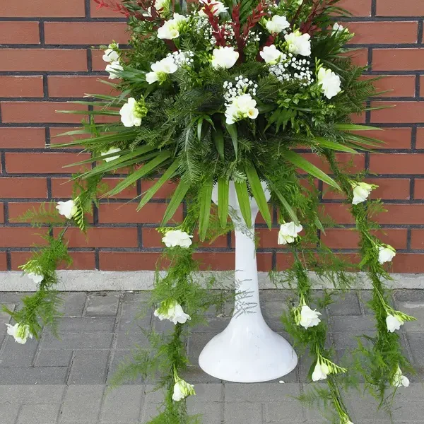 Pająk Na Trumnę (4)
